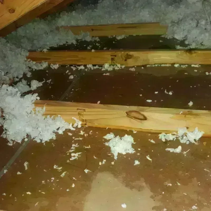 Attic Water Damage in Manchester, MI