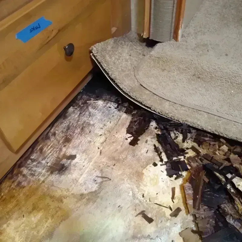 Wood Floor Water Damage in Manchester, MI